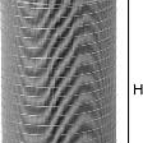 Mann-Filter SP 2100-2Filter Set